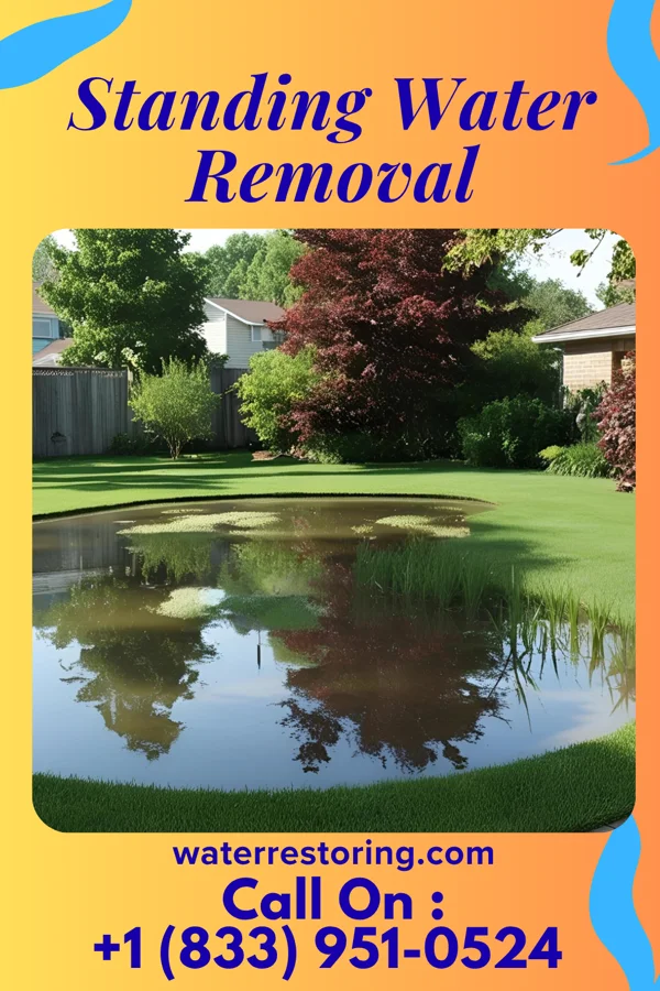 Standing Water Removal in Osceola, AR